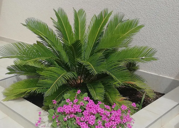 公寓 With Parking Space - 20205 维尔